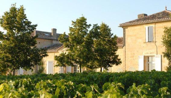 Chateau Belles Graves Bed and Breakfast Pomérols Exteriör bild